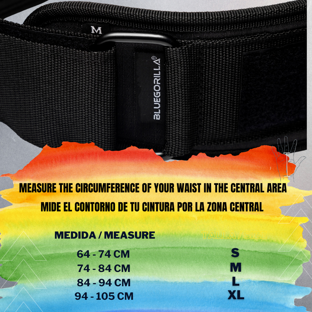 BLUEGORILLA® Cinturón Lumbar Gym. Levantamiento de Pesas y Entrenamiento. Parches. Diseñado para Altas Cargas